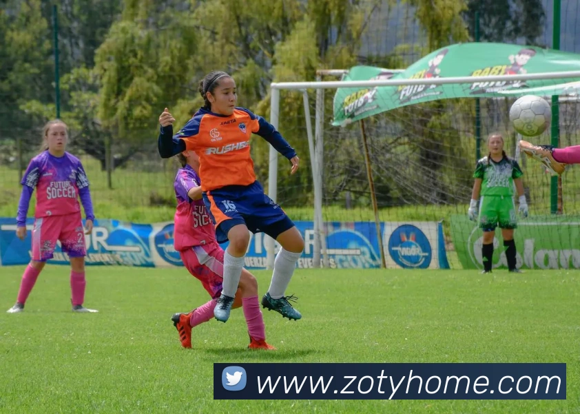 中欧体育品牌故事